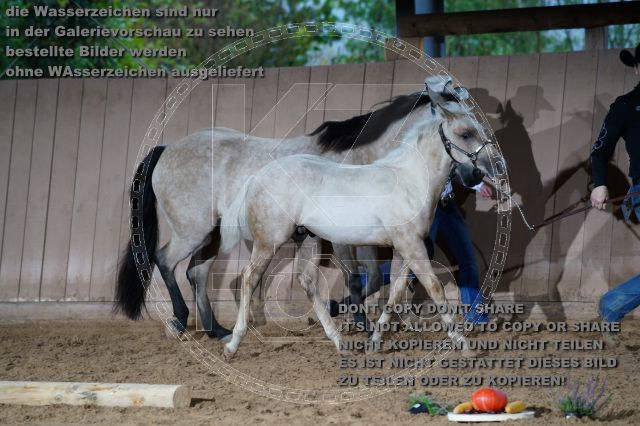 s_K3F04877.JPG